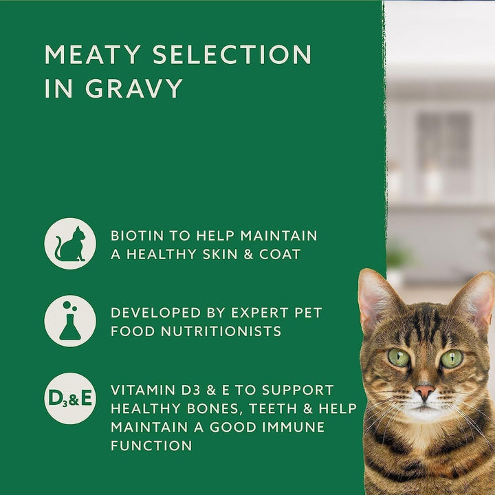 By Amazon Hrană pentru pisici, umedă, pentru pisici adulte, Meat Choice in Sauce, 4.8Kg (48 pachete cu 100G)