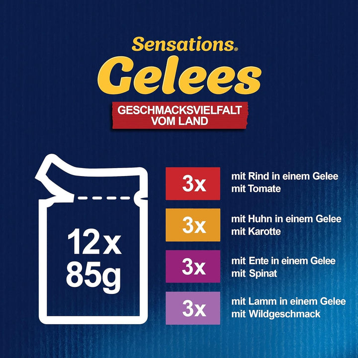 FELIX Sensations Jellies hrană pentru pisici umedă în jeleu, amestec variat, pachet de 6 (6 X 12 pungi a 85G)