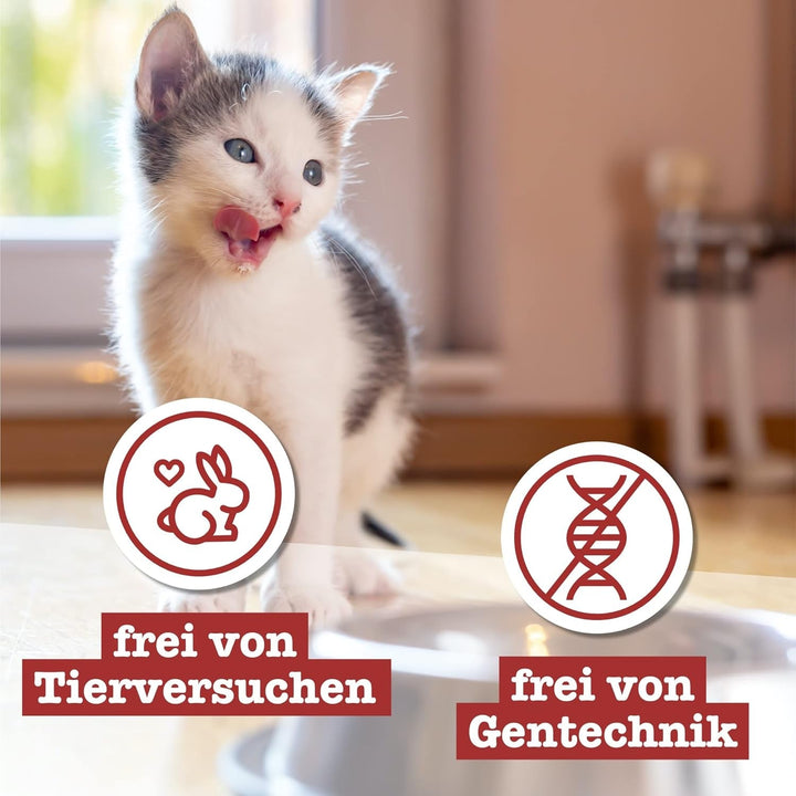 Catz Finefood Kitten N° 3 Poultry Cat Food Wet - Delicatessen Hrană umedă pentru pisici tinere (6 pungi X 300G)