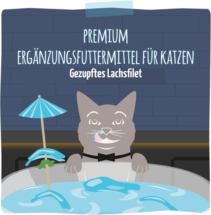 Mjamjam - Băutură delicioasă pentru pisici - Cocteiluri - File de somon jumulit, 20Pack (20X40), fără cereale