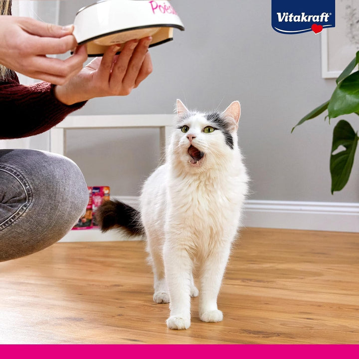 Vitakraft Poésie Création, hrană umedă pentru pisici, hrană umedă pentru pisici în sos, cu somon, cu paste și roșii, fără adaos de zahăr și cereale (1X 85G)