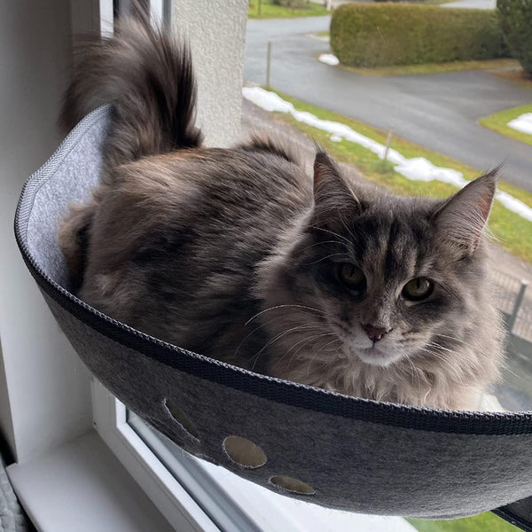 Șezlong pentru pisici, scaune de fereastră cu covorașe și ventuză pentru plajă, până la 20 kg, 70 cm x 29 cm