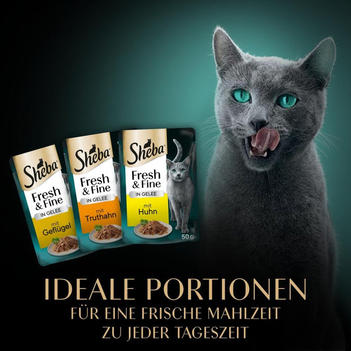 Sheba portion bag wet cat food multipack Fresh & Fine în jeleu cu curcan și pui, 6X6X50G - Hrană pentru pisici de înaltă calitate în jeleu cu curcan și pui