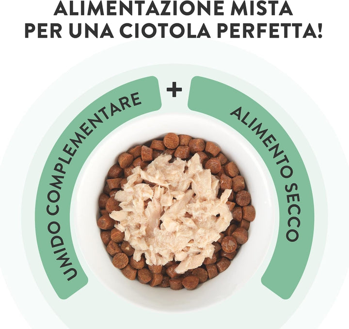 , File de pui cu carne de vită în bulion, Hrană umedă complementară pentru pisici, Rețetă originală, 100% naturală, 12 cutii la 70 G