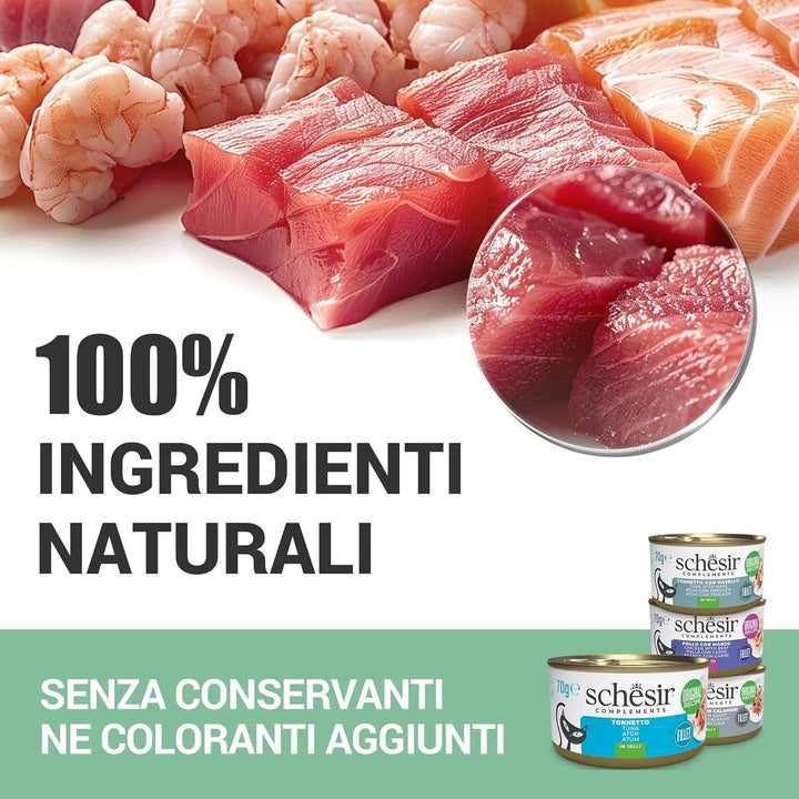 , File de ton cu dinte de jeleu, Hrană umedă complementară pentru pisici, Rețetă originală, 100% naturală, 12 cutii la 70 G