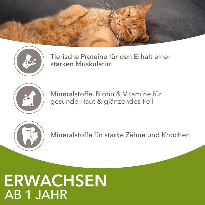 IAMS Delights Land Collection Hrană umedă pentru pisici - Multipack cu sortimente de carne (miel, vită, pui și curcan) în sos, hrană umedă pentru pisici de peste 1 an, 12 X 85G