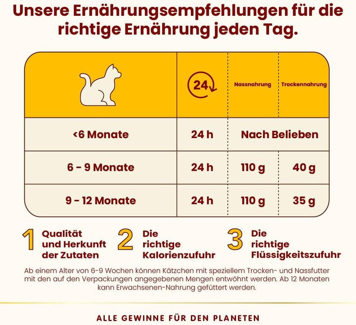Almo Nature HFC Kitten - Hrană umedă pentru pisoi - pui - grad uman, fără gluten și monoproteină - 6 X 70G