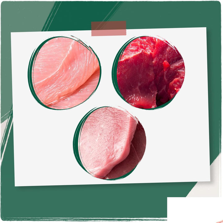 Venandi Animal - Hrană umedă premium pentru pisici, Tasting Pack II, cal, vițel, curcan, 12 X 125 G (pachet de 12), fără cereale și naturală