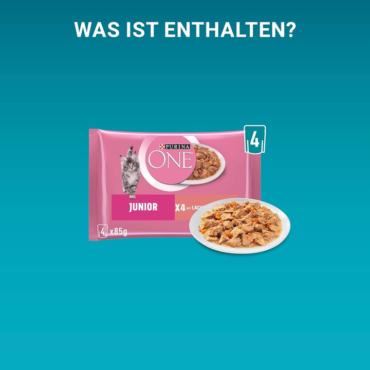 PURINA ONE Junior somon și morcovi