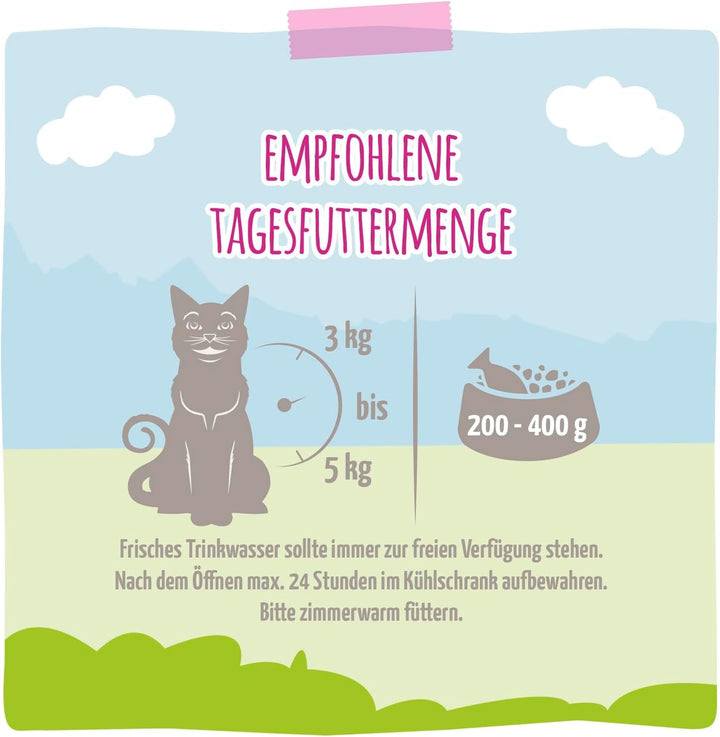 Mjamjam - Hrană umedă premium pentru pisici - Squeeze - Porc suculent cu morcovi delicioși, pachet de 6 (6 X 300G), fără cereale cu extra carne