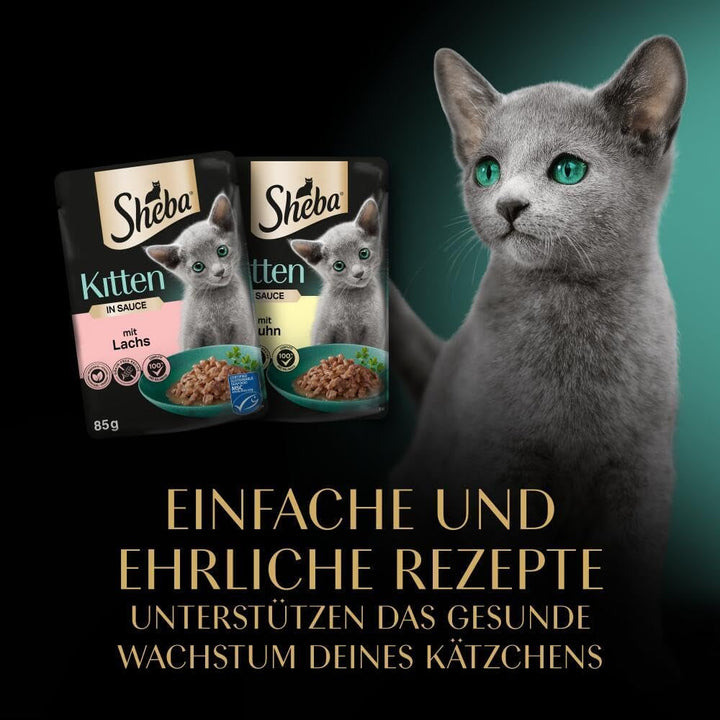 Sheba Cats Hrană umedă pentru pisoi în pungă porționată Fine Variety With Salmon (MSC) And Chicken In Sauce Multipack 40X85G