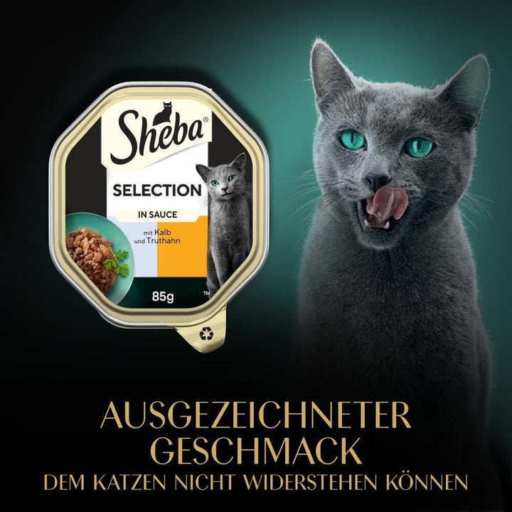 SHEBA Bowl Hrană umedă pentru pisici selecție în sos cu vițel și curcan 2 X 11 X 85G