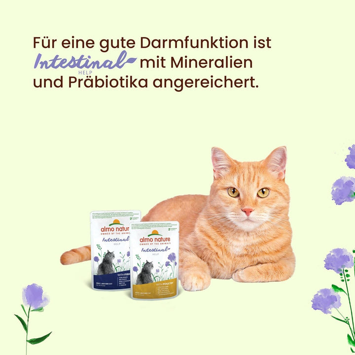 Almo Nature Holistic Intestinal Help - Hrană umedă pentru pisici adulte - Cu pește - 70G, pachet de 30