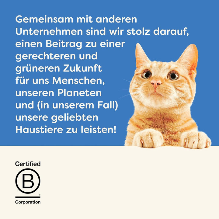 Applaws 100 % hrană umedă naturală pentru pisici adulte, sortiment de pește în sos Multipack, cutii de 12 × 70 g