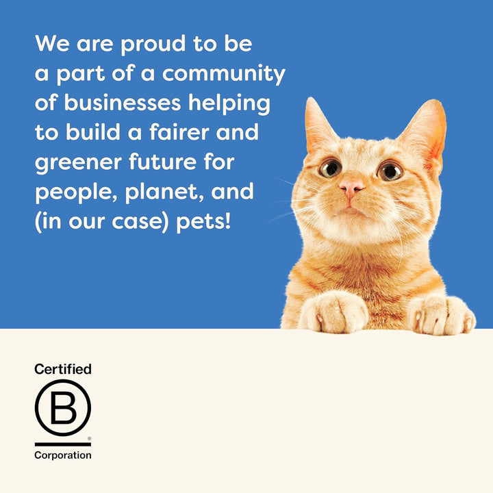 Applaws 100% hrană umedă naturală pentru pisoi, file de ton în bulion - pachet cu 12 pungi de X 50G