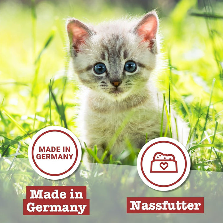 Catz Finefood Kitten N° 3 Poultry Cat Food Wet - Delicatessen Hrană umedă pentru pisici tinere (6 pungi X 300G)