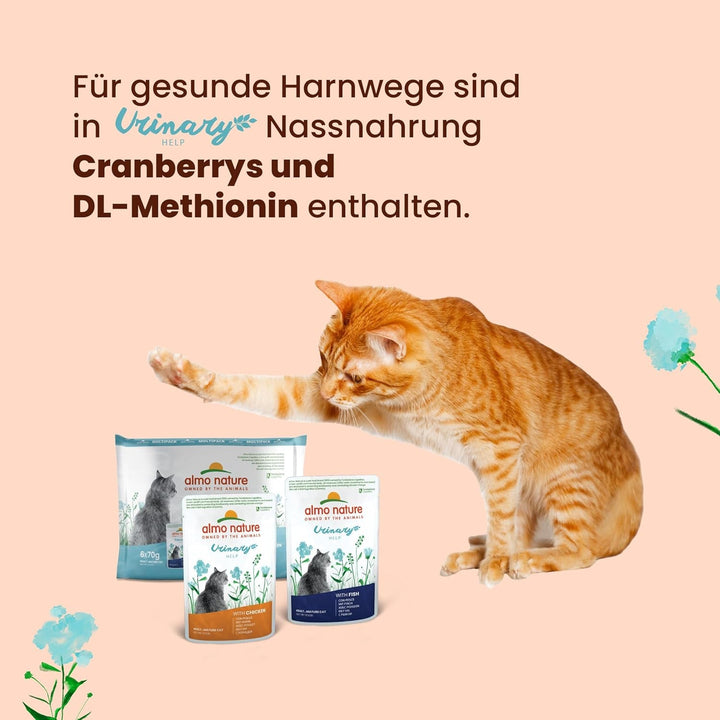 Almo Nature Holistic Urinary Help - Hrană umedă pentru pisici adulte - cu pește - 70G, pachet de 30