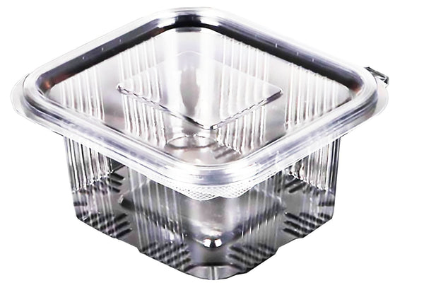 Caserole plastic 500 ml, set 10 buc Catering Nati Shop