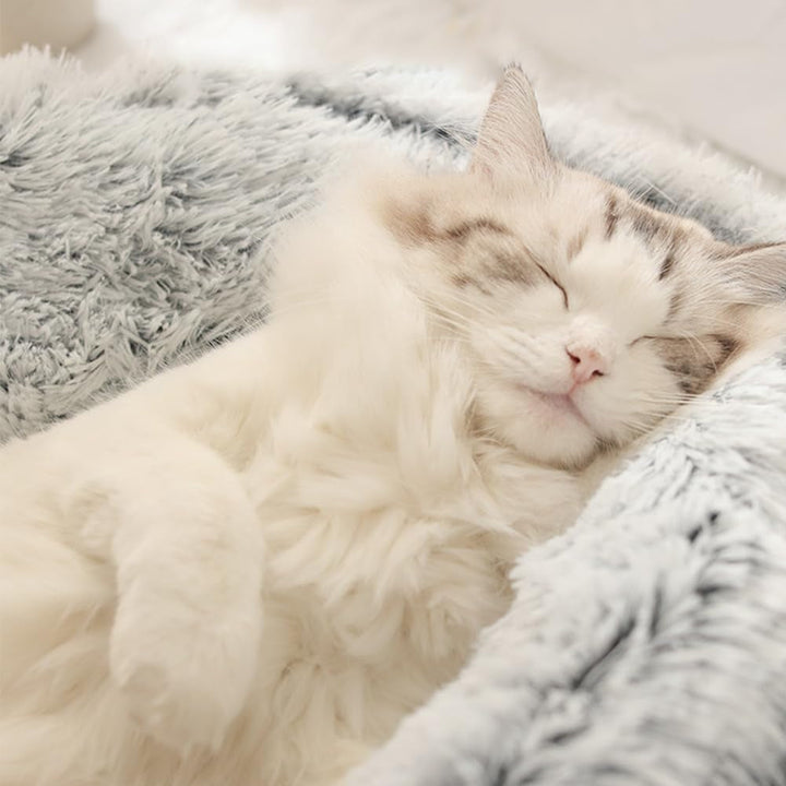 Pat pentru pisici, Pat pufos pentru pisici, Pat rotund pentru animale de companie de 50 cm pentru pisici și căței, Loc de dormit pentru pisici Coș pentru pisici, Peșteră pentru pisici pentru iarnă, Ascunzătoare moale și caldă pentru pisici