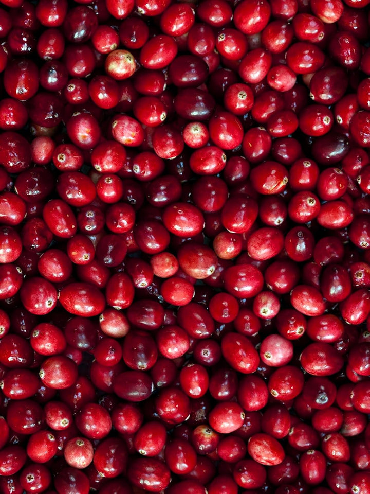 Ralph Lauren Big Pony Pink 2 Eau de Toilette Spray pentru femei, 100 ml