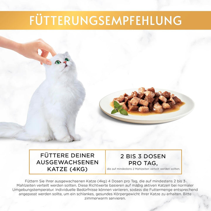 Gourmet Gold Tender Morsels in Sauce Hrană umedă pentru pisici, cu somon și pui, 12Pack (12 X 85G)