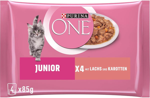 PURINA ONE Junior somon și morcovi
