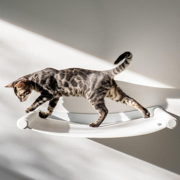 Hamac metalic AZANO® XL pentru pisici | Perete de cățărat de design pentru pisici | Pat de perete pentru pisici | Extra mare și stabil - (Alb)